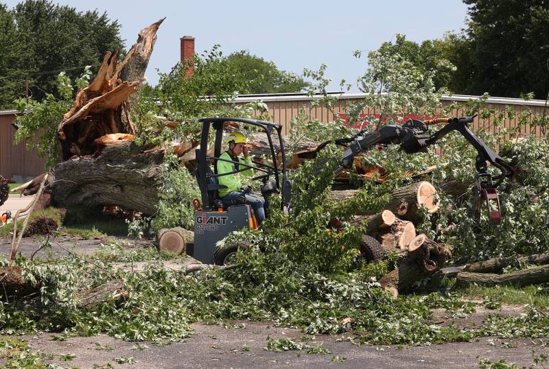 A Worker from D. Ryan Tree and Landscape removes branches from a large tree that was blown down in Sunday night’s storms Monday, July 15, 2024, on West Page Street in Sycamore. High Winds and heavy storms hit DeKalb County overnight causing downed trees and power outages in the area.