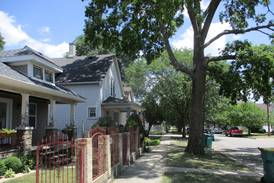 Joliet gets grant from Morton Arboreteum to widen city tree inventory