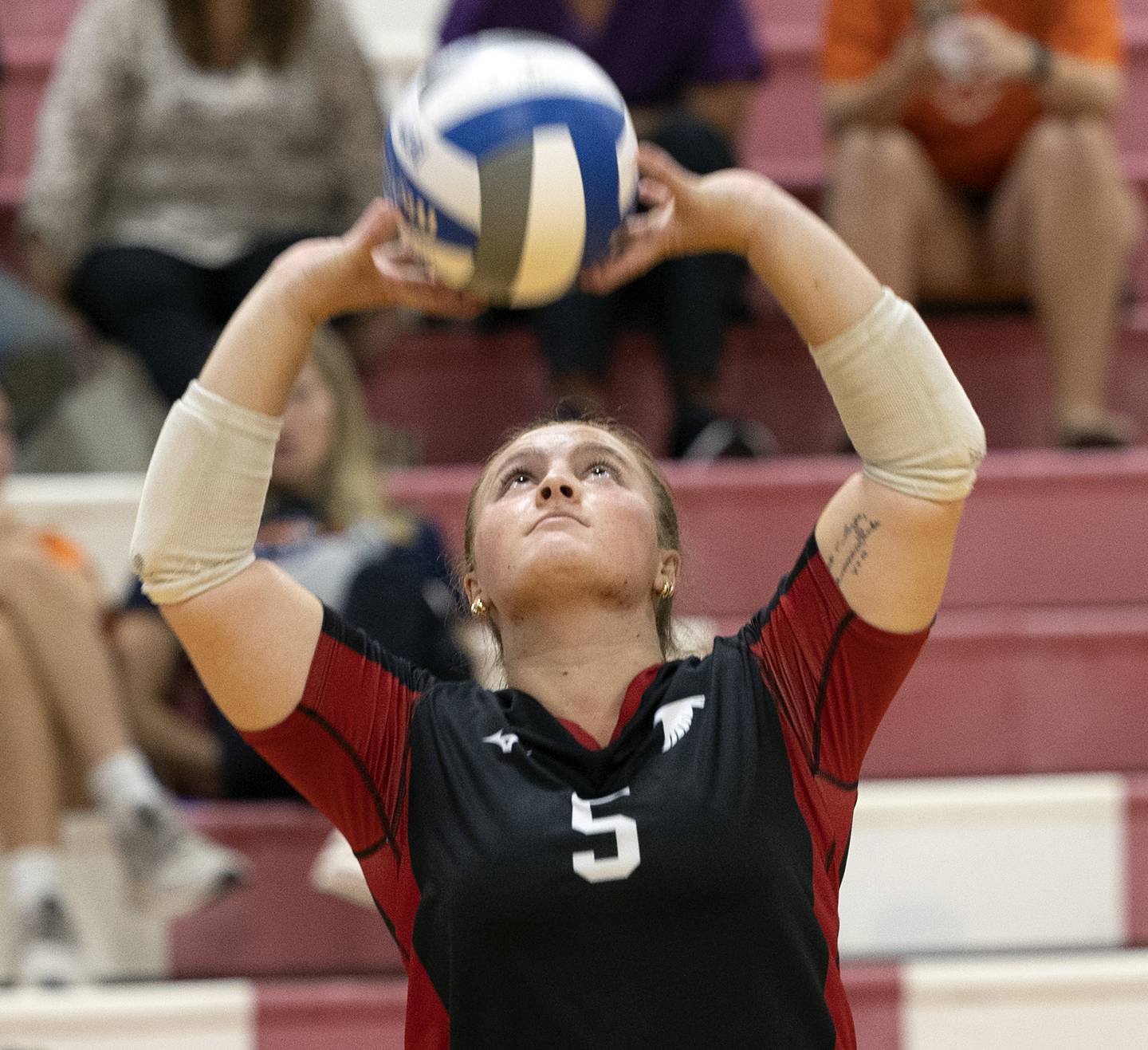 Sauk Valley’s Denali Stonitsch sets the ball against Highland Tuesday, Sept. 17, 2024.