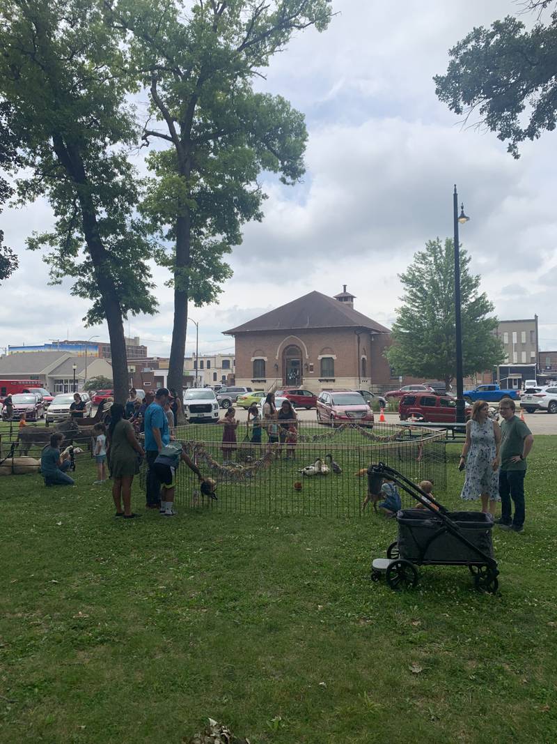Streator residents and children enjoying Liberty Fest's petting zoo on Saturday June 29, 2024. (Bill Freskos)