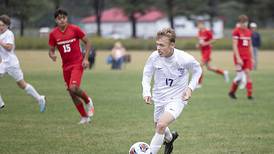 Boys soccer: 2024 Sauk Valley preview capsules