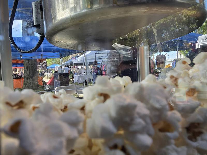 A view of the craft vendors row Saturday, Sept. 14, 2024, through the Streator Masonic Lodge's popcorn machine during Pluto Festival at City Park.