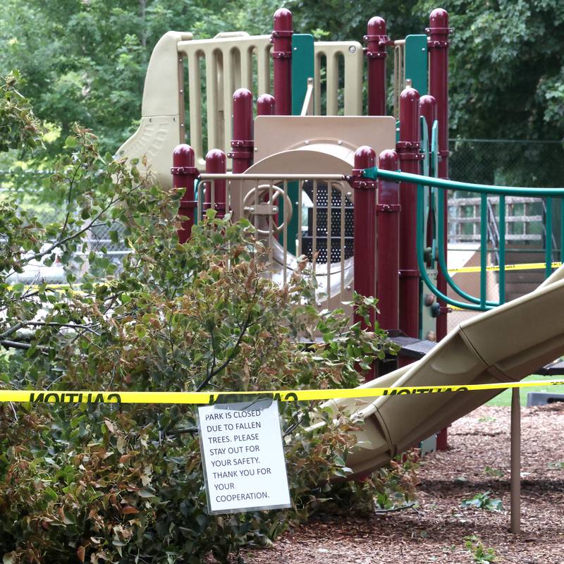 An uprooted tree lies near the playground at Chamberlain Park in Genoa Tuesday, July 16, 2024, after it fell during the severe thunderstorm Monday night. The storm caused localized damage and flooding throughout DeKalb County.