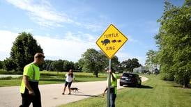 Kane County community pools money to install turtle crossing signs