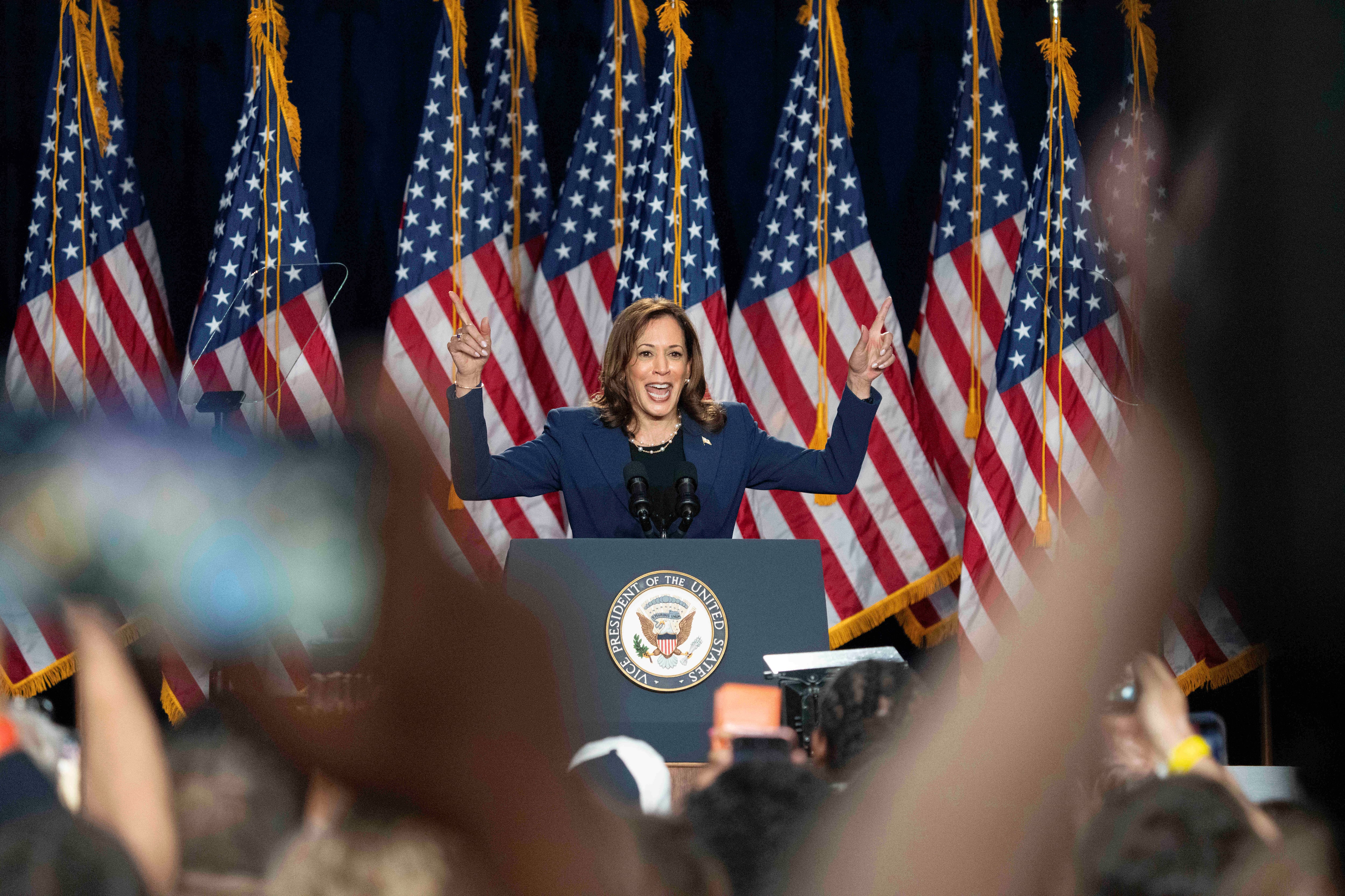 Harris tells roaring Wisconsin crowd November election is ‘a choice between freedom and chaos’