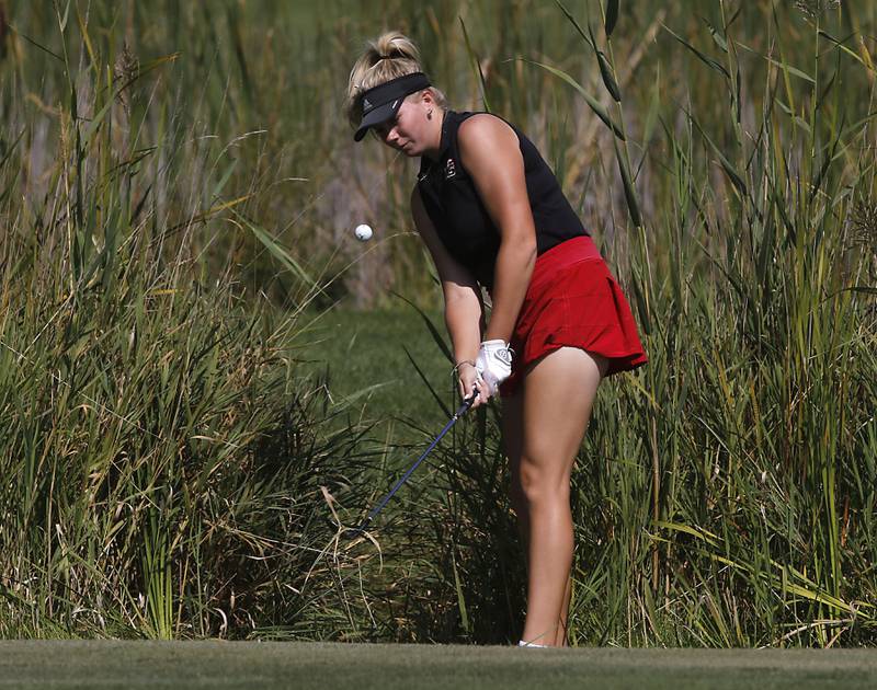 Huntley’s Maddie Sloan chips onto the 5th green of the Valley course during the McHenry County Tournament on Thursday, Sept.12, 2024, at Boone Creek Golf Club in Bull Valley.