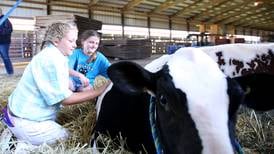 Marshall-Putnam Fair to feature dozens of activities for all ages July 14-21