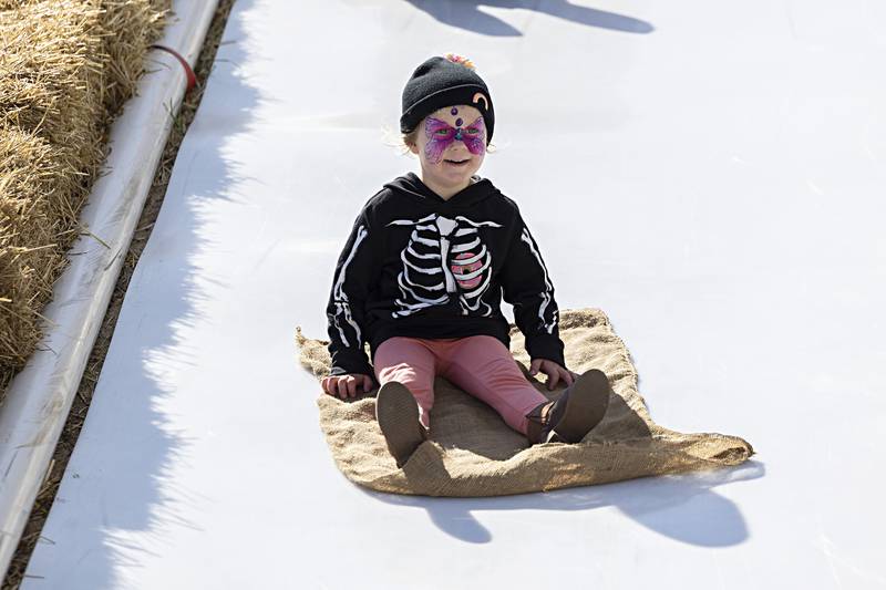 Eleanor McCormick, 3, zips down a slide at Selmi’s Greenhouse Saturday, Oct. 7, 2023 after watching the Lumberjack show.