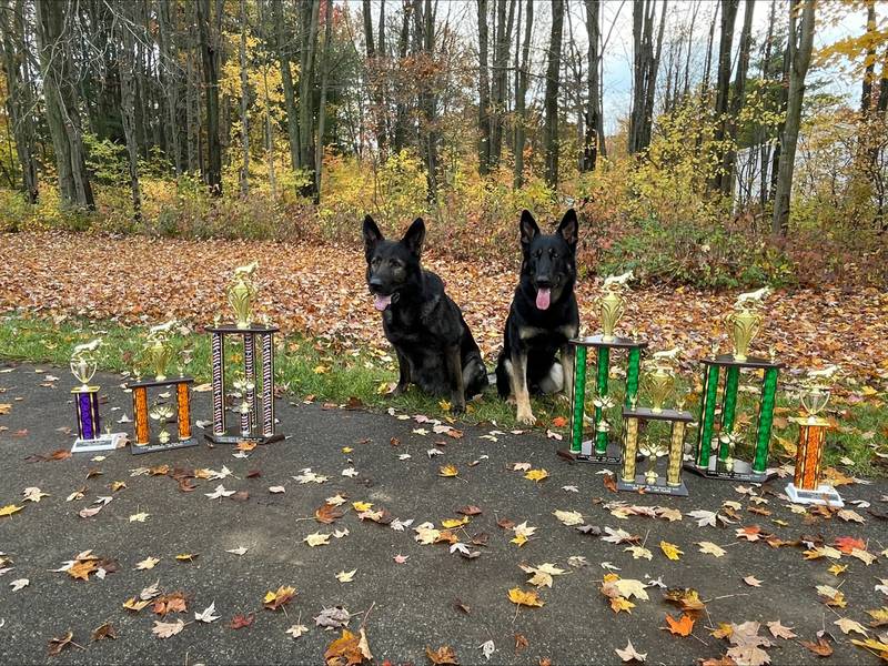 Lake County Sheriff’s Deputy John Forlenza and K9 Dax, along with Deputy Kevin Harris and K9 Zeus recently traveled to Port Huron, Michigan, to participate in the United States Police Canine Association (USPCA) Region #19 Police Dog/Detector Dog Trial.