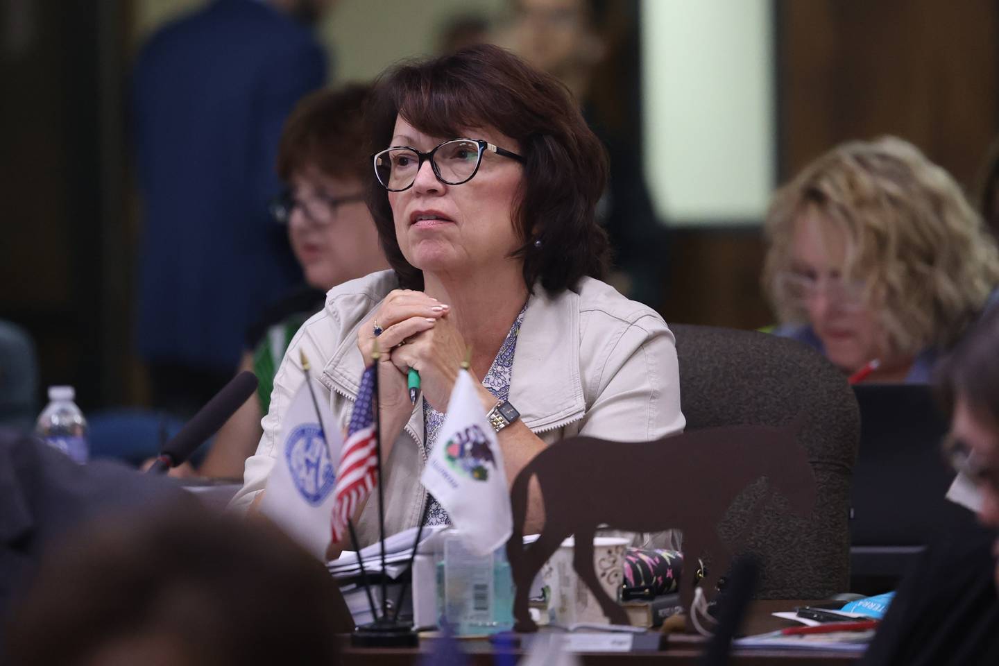 Will County board member Jackie Traynere sits in on the Will County board meeting on Thursday, Aug. 17, 2023 in Joliet.