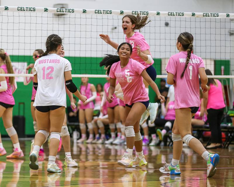 Downers Grove South celebrates the win over Providence Catholic on