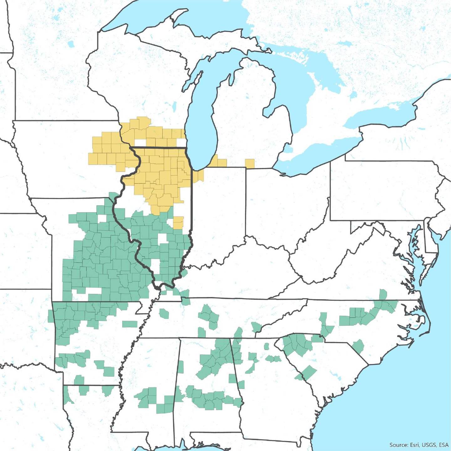 This map shows the ranges of Broods XIII and XIX. Brood XIII is shown in yellow and Brood XIX is shown in teal. Courtesy of Lake County Forest Preserves, Esri, USGS and ESA.