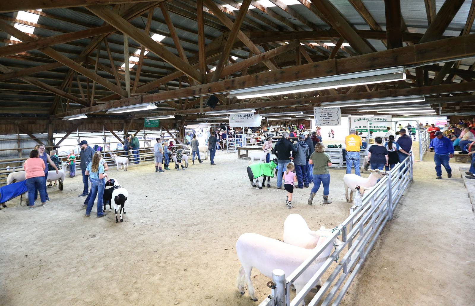 5 things to do in the Illinois Valley 4H fair season begins Shaw Local