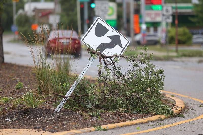 A tree branch is wrapped around a sign along South Chicago Street after a storm blew through Joliet Sunday morning, July 14, 2024.