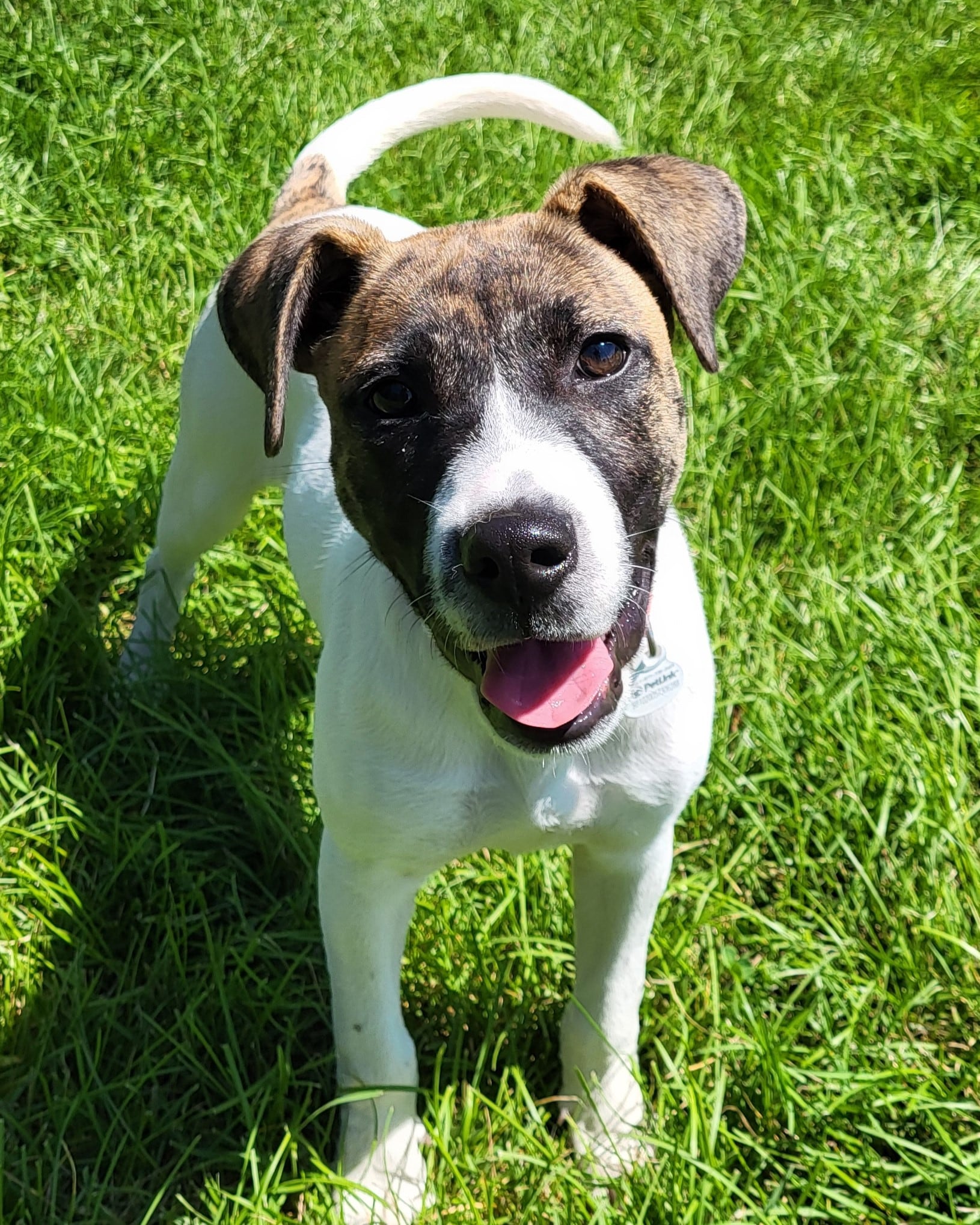 Happy bundle of energy hopes for life with active family