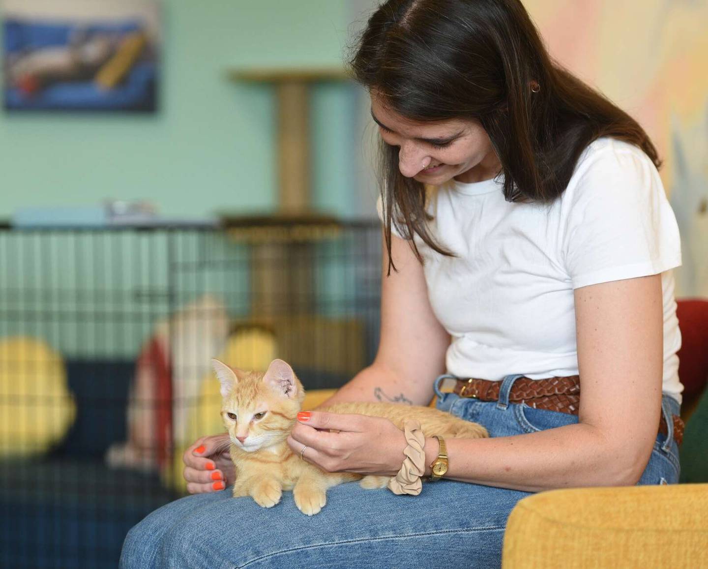 Sarah Block of Evanston pets Topaz during a recent visit to The Cat House in Roselle. She works nearby in Schaumburg and came by on her lunch break.