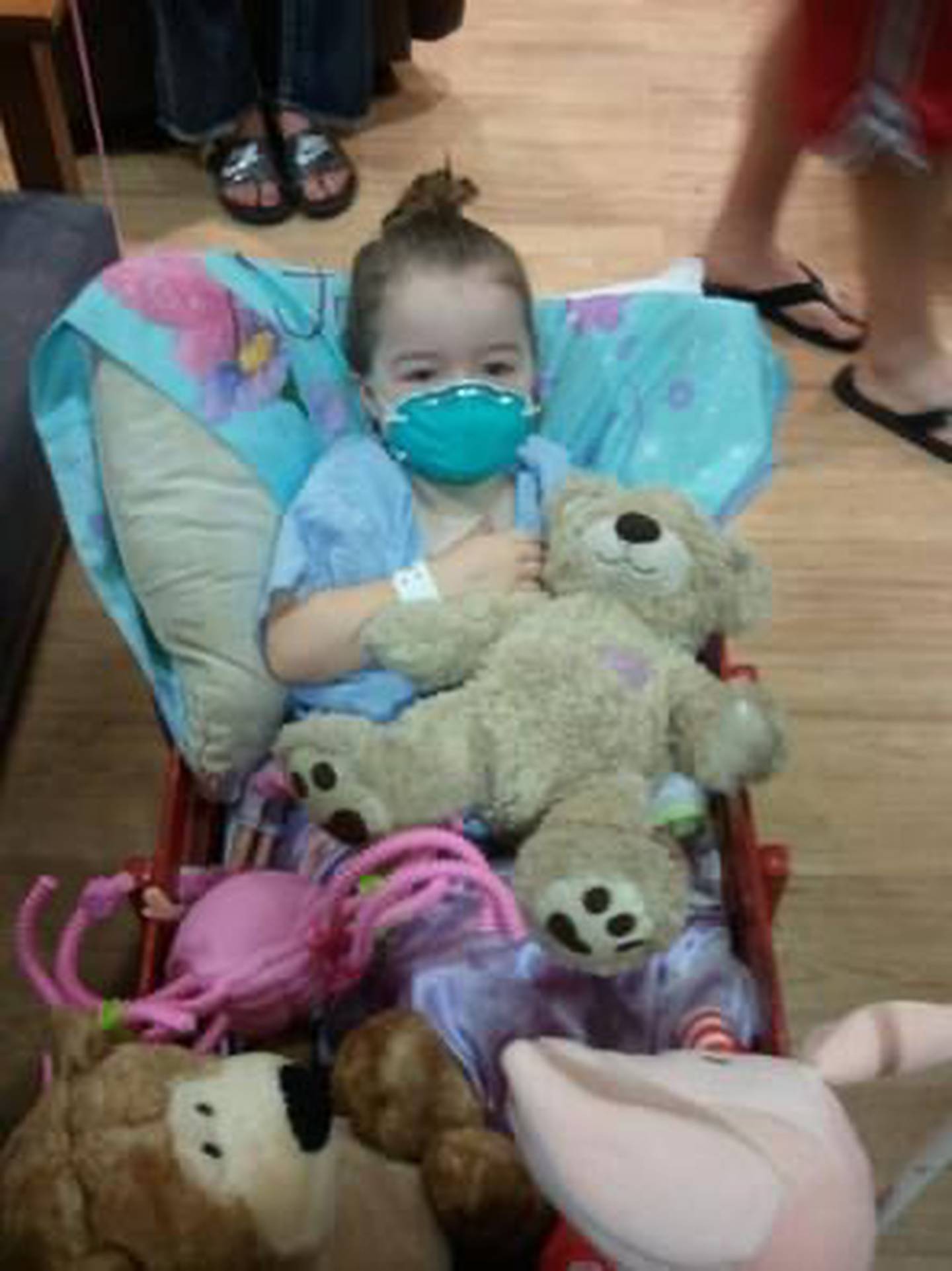Bella Clevenger and her favorite stuffed animals in her little red wagon while undergoing treatment for leukemia.