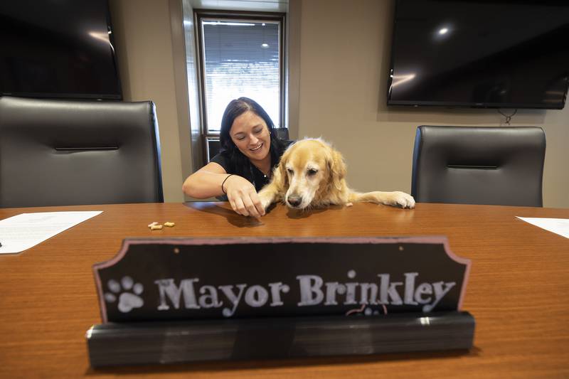 Sterling mayor Diana Merdian helps honorary mayor Brinkley into her seat Monday, June 3, 2024. The comfort K9 is retiring on June 12 and was granted the honorary status.