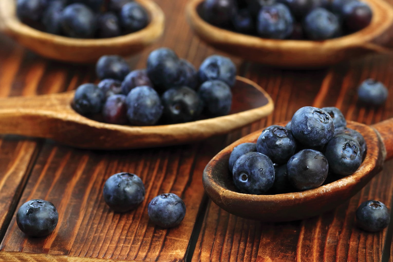 Countryside Flower Shop - Elburn - Celebrate National Blueberry Month With Your Own Blueberry Plants