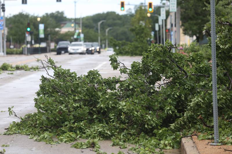 Several trees lay in the street along West Washington Street after a storm blew through Joliet Sunday morning, July 14, 2024.