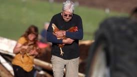 Photos: Animals rescued from collapsed barn near Harvard