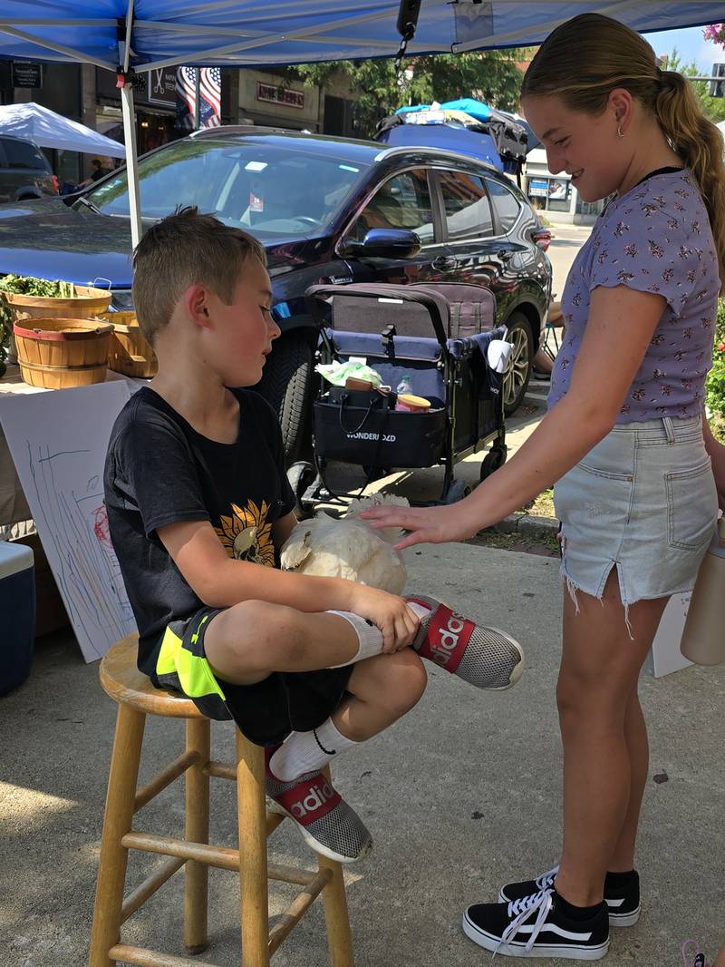 Grant Maierhofer holds his chicken Peach for a customer to pet Saturday, Aug. 24, 2024, during the third annual Prairie Fox Books Children's Business Fair in downtown Ottawa.