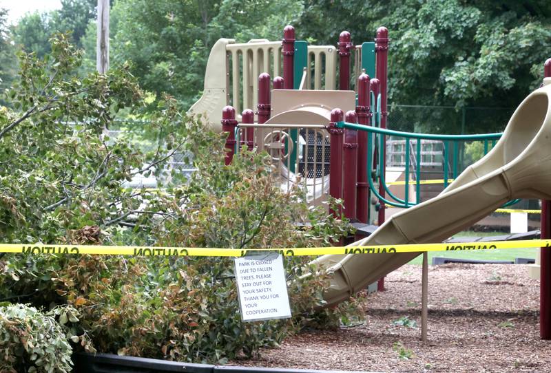 An uprooted tree lies near the playground at Chamberlain Park in Genoa Tuesday, July 16, 2024, after it fell during the severe thunderstorm Monday night. The storm caused localized damage and flooding throughout DeKalb County.