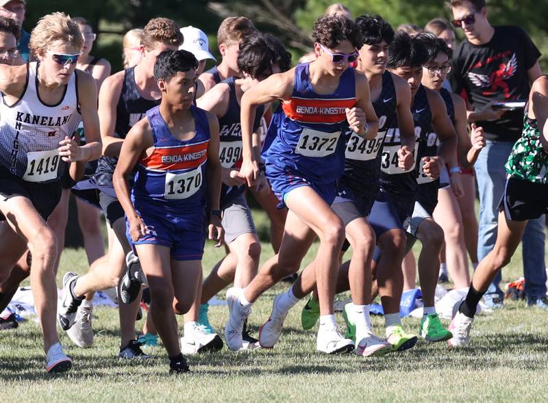 Genoa-Kingston boys cross country runners leave the starting line Tuesday, Sept. 3, 2024, during the Sycamore Cross Country Invite at Kishwaukee College in Malta.