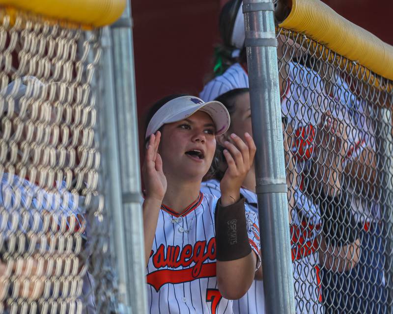 Oswego's Bella Lisle (7) cheers on the batter from during Class 4A Plainfield North Sectional semifinal softball game between Wheaton-Warrenville South at Oswego. May 29th, 2024.