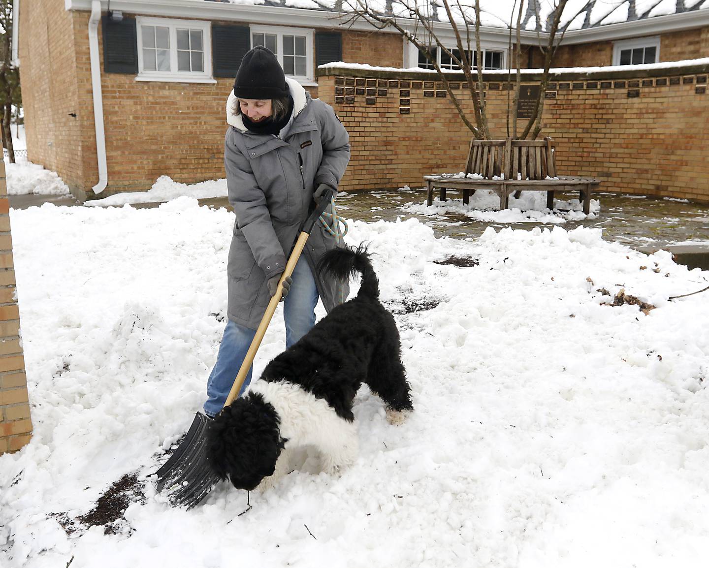 Quincy helps Cynthia Echols shovel a path by picking up a stick at in the memorial garden at St. Ann’s Church on Jackson Street in Woodstock on Friday, March 10, 2023.  Woodstock had one of the highest snow totals from the winter storm that rolled through Thursday afternoon into Friday morning, according to the National Weather Service in Romeoville.
Snow totals throughout northern Illinois ranged from a half-inch reported in Batavia to 9.6 inches in Bull Valley, NWS Meteorologist Zachary Yack said.
