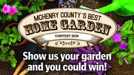 McHenry County’s Best Home Garden Contest 2024