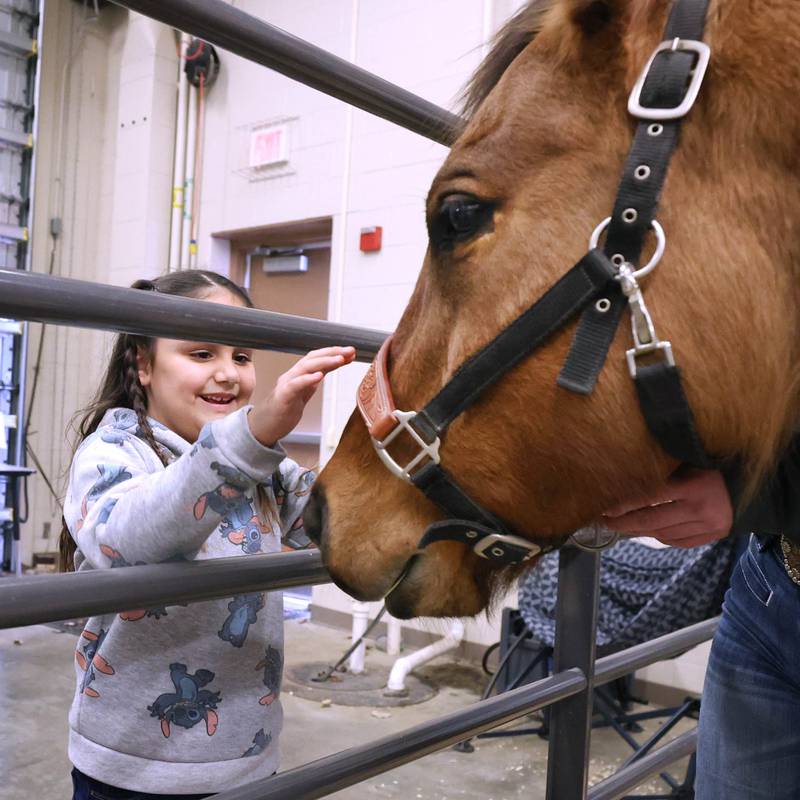 Catalina Avila, 7, from DeKalb, pets Chief the horse during the Future Farmers of America Baryard Zoo Wednesday, Feb. 21, 2024, at DeKalb High School. The program, which is held during National FFA Week, gives local kids a chance to visit the high school and learn about the FFA program and animals in agriculture.