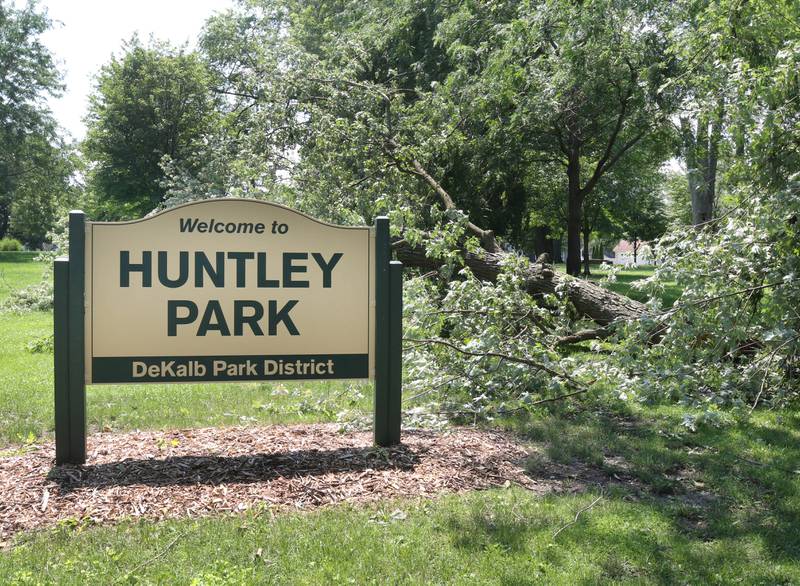 A large branch blown down by Sunday’s storms rests on the ground Monday, July 15, 2024, in Huntley Park in DeKalb. High Winds and heavy storms hit DeKalb County overnight causing downed trees and power outages in the area.