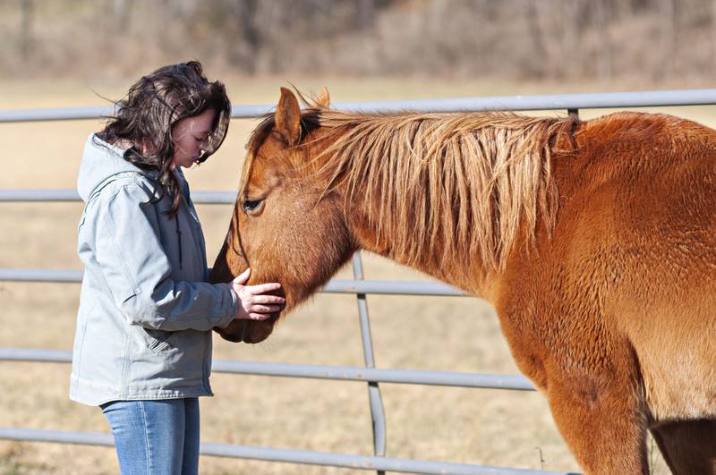 Molly Weinzierl, 18, of Dixon, purchased the scared and scarred Reno from an auction four years ago. “I knew that he was going to end up being a good horse, but there was something off about him,” she said.