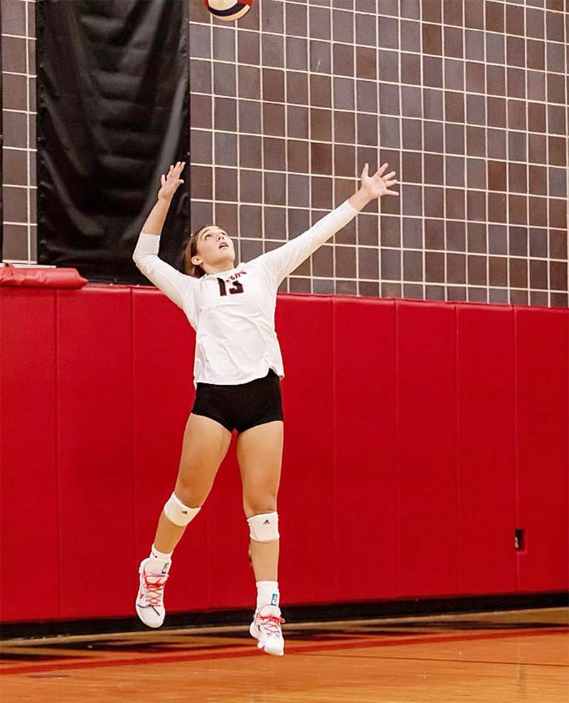 Erie-Prophetstown junior Kennedy Buck serves the ball during a match earlier this season.