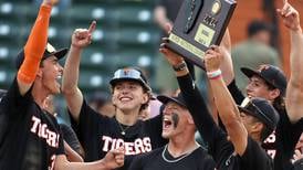 Photos: Crystal Lake Central defeats DePaul College Prep to win the Class 3A Schaumburg Supersectional baseball 