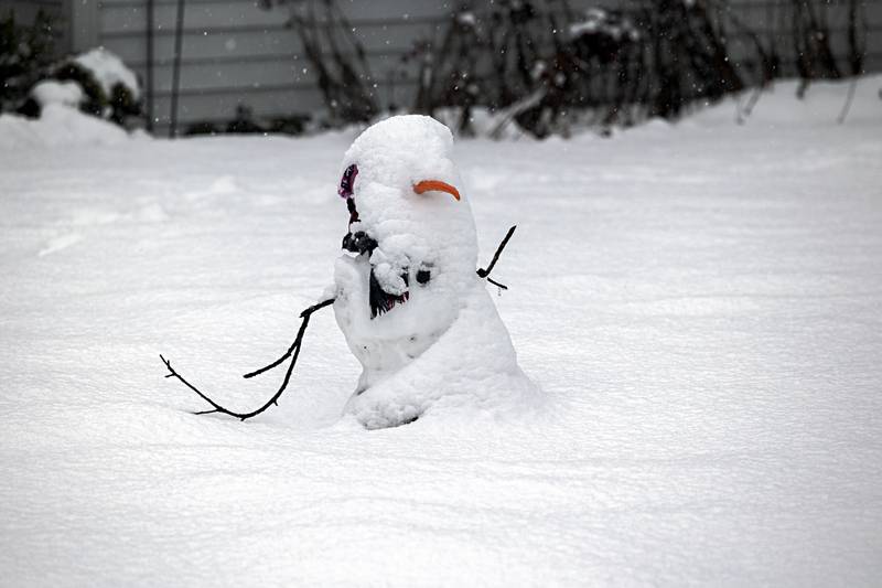 This little guy is right at home as another round of snow blankets the Sauk Valley Friday, Jan. 12, 2024.