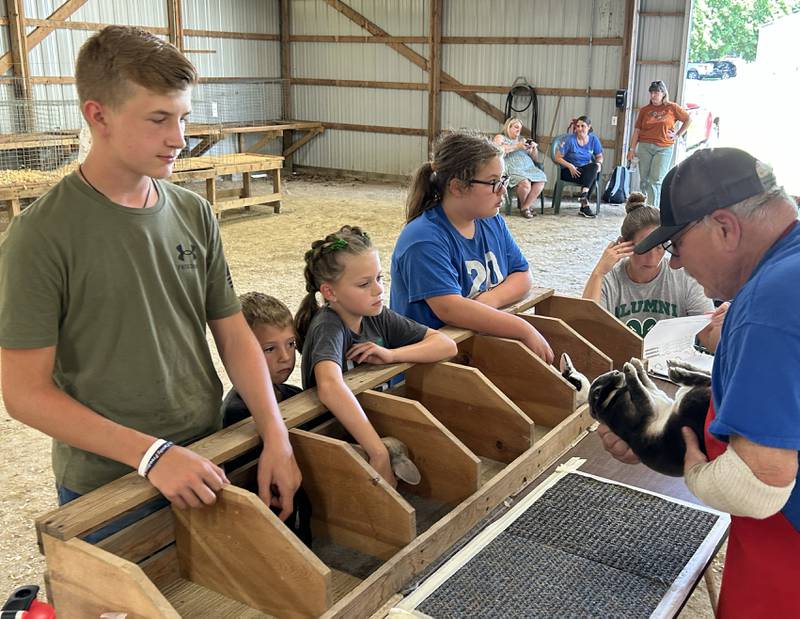 Mason Camps, 13, of Sterling, Cale and Tinsley Downie, 7 and 10, of Rock Falls, and Rebekah Hulsingh, 12, of Fulton, watch as Harry Ringler judges their rabbits at the Whiteside County 4H Fair in Morrison on Friday, July 12, 2024..