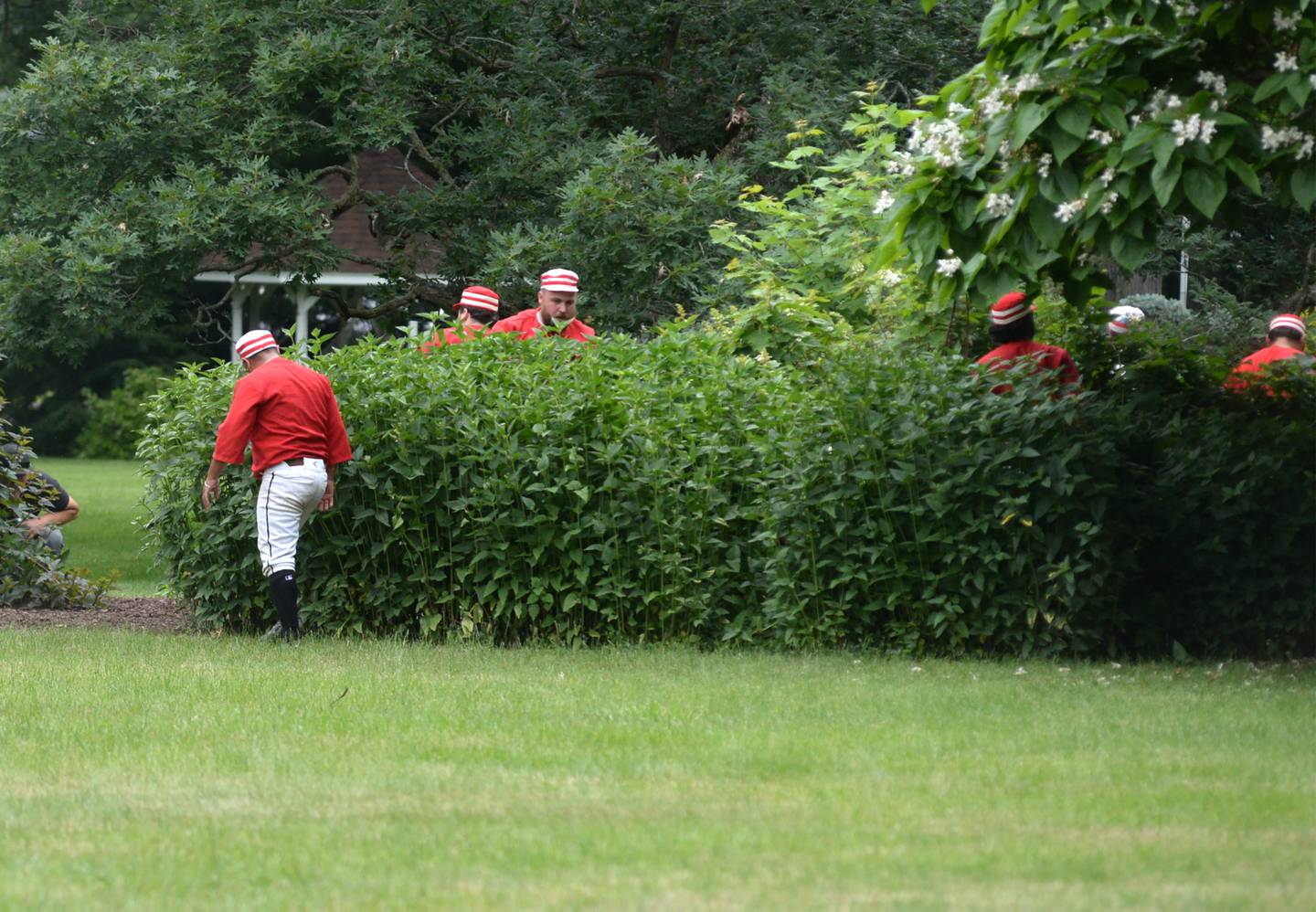 DuPage County Plowboys search for the game ball in large shrubs during a vintage base ball game with the Oregon Ganymedes at the John Deere Historic Site in Grand Detour on Saturday, June 8, 2024.