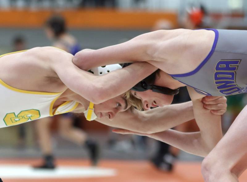 Crystal Lake South’s Josh Glover, left, won the title bout at 113 pounds over Wauconda’s Gavin Rockey during IHSA Class 2A regional wrestling at Crystal Lake Central Saturday.