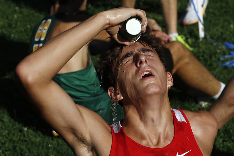 Huntley’s Logan Barreto cools off with a cup of water on his face after finishing the boys race of the McHenry County Cross Country Invite on Saturday, August 31, 2024, at McHenry Township Park in Johnsburg.