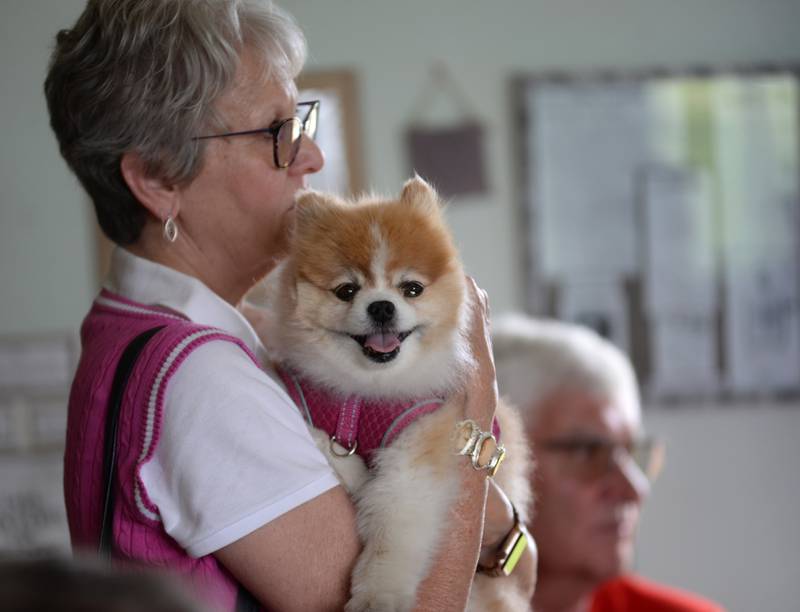 This pup was all smiles as it visited the Henry School during the Polo Historical Society's Trolley Rides during Town & Country Days on Saturday, June 15, 2024. The 2-hour tour transported riders to historical sites in Polo with docents talking about each stop.