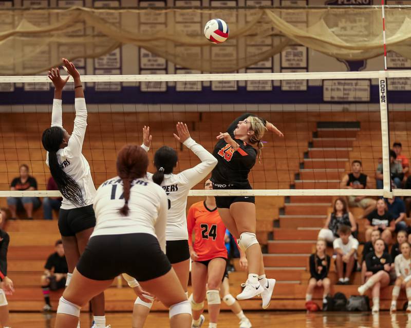 Sandwich's Lexie Randa (16) spikes the ball during volleyball match between Sandwich at Plano.  August 21, 2023.