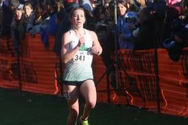 The Times 2024 girls and boys cross country preview capsules