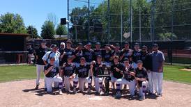 Baseball: Lucas Rink, Wilmington storm into Supersectional by toppling Herscher