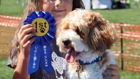 Join annual VetBros Charity Dog Show on Aug. 4