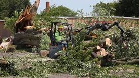 Photos: Fallen trees, power outages in DeKalb County after overnight storms