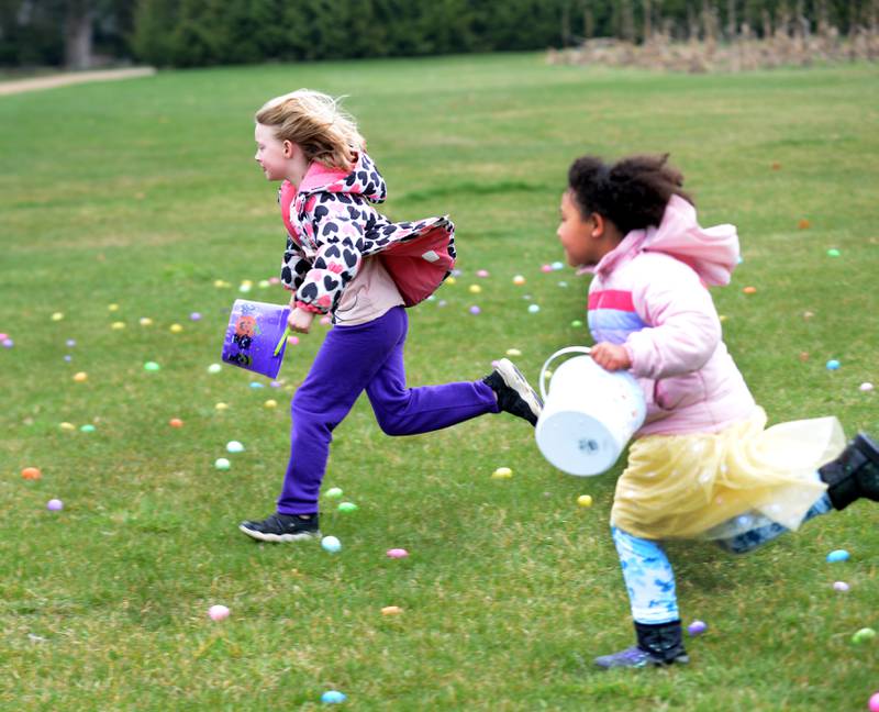 Vivian Broach, 9, (left) and Acacia Ryan, 8, of Mt. Morris, race to gather Easter eggs at the Mt. Morris Moose Lodge in Mt. Morris on Saturday, March 30, 2024.