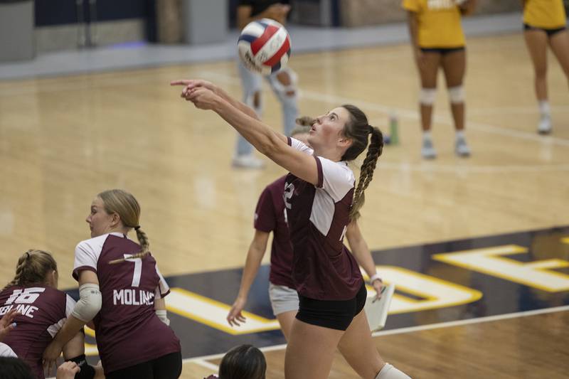 Moline’s Maddie Determan goes deep in the stands to play a ball Tuesday, Sept. 10, 2024, at Sterling High School.