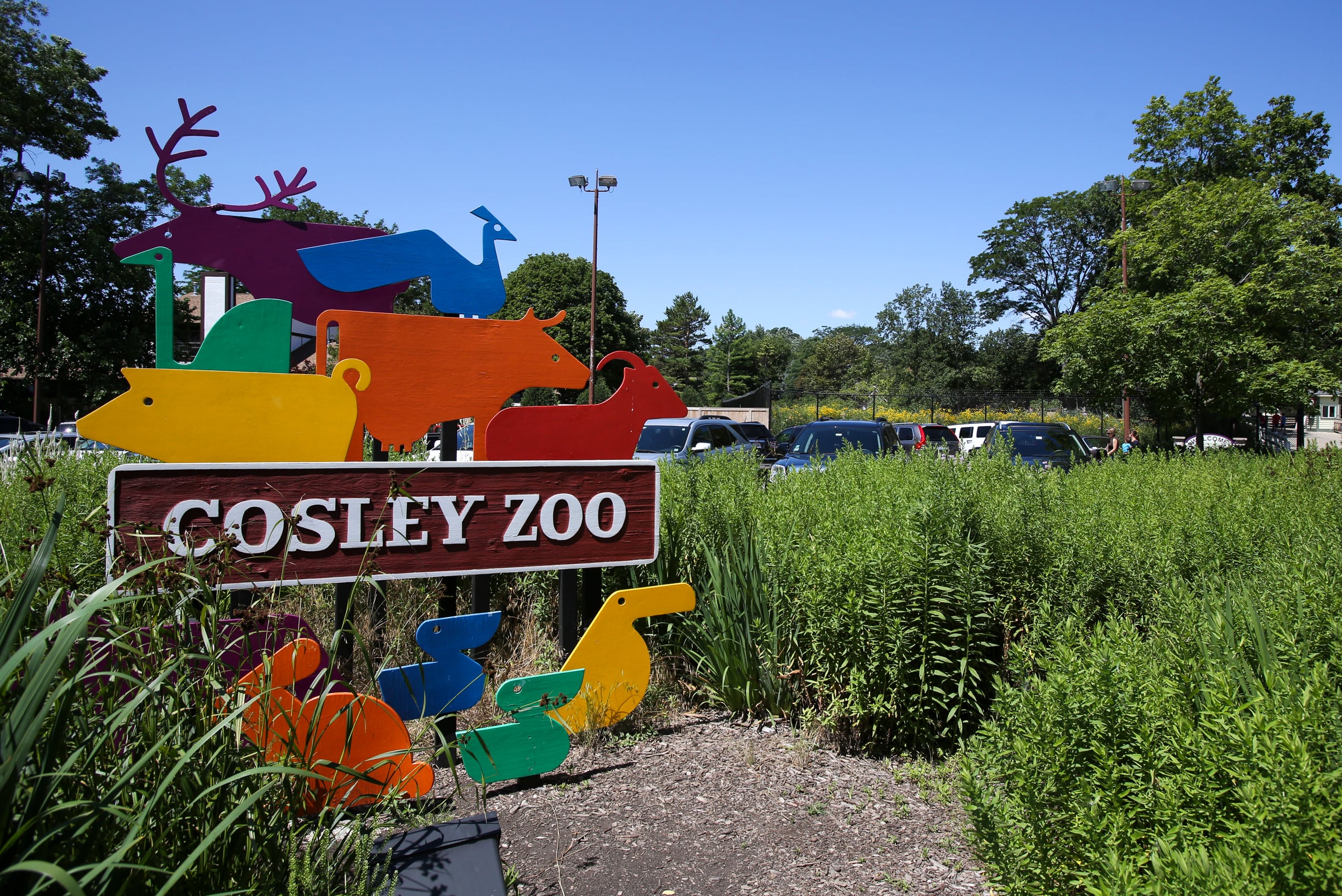 Wheaton’s Cosley Zoo marks 50 years